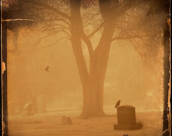 Graveyeard Crow Fog Photograph--Quoth the Raven...Fine Art