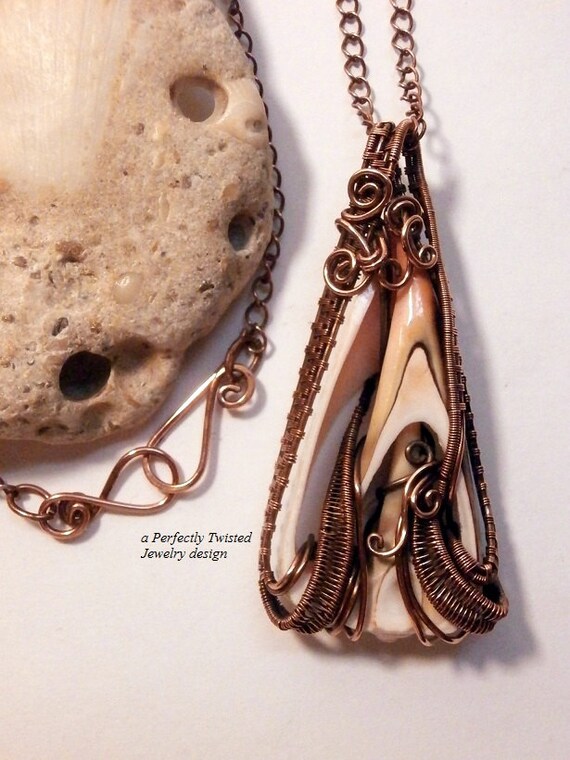 Wire Wrapped Sea Shell Pendant Sliced Seashell Necklace