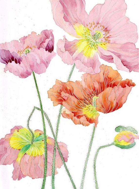 Items similar to Iceland poppies: watercolour digital print on archival