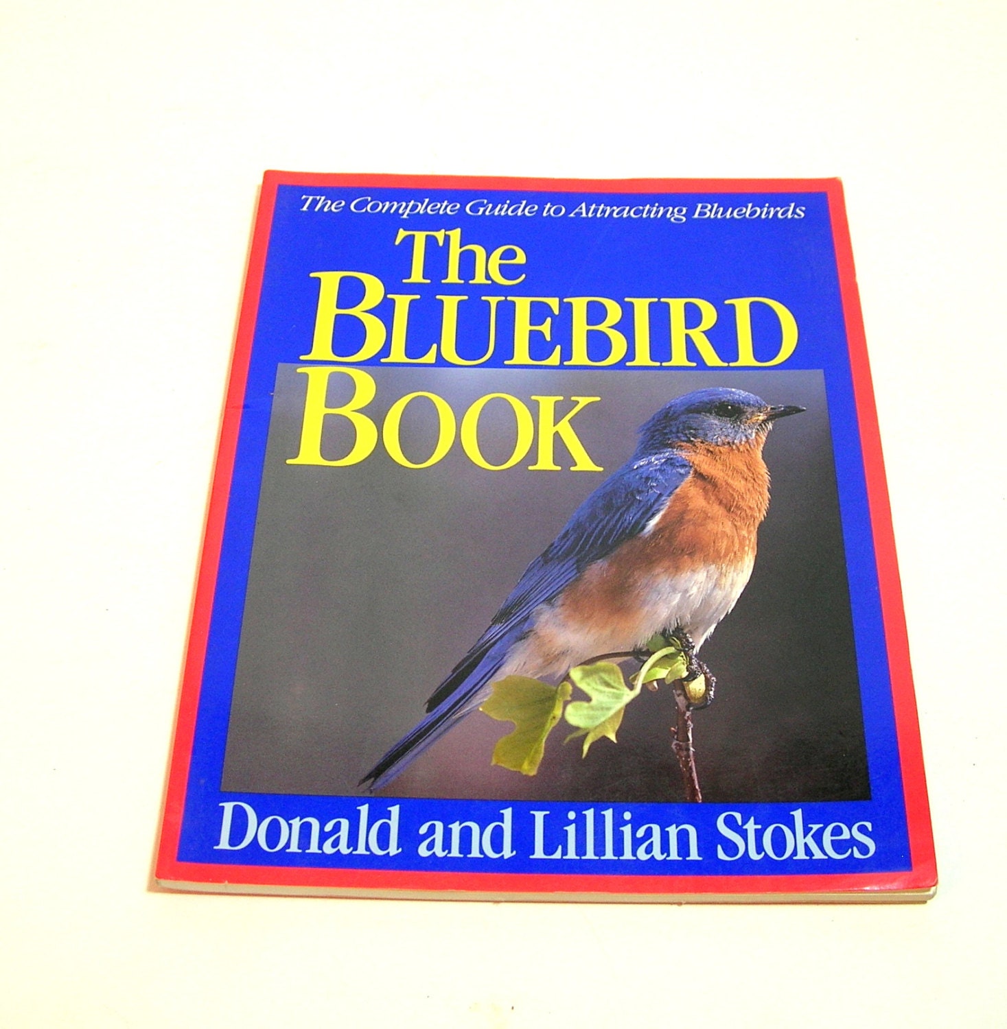 bluebird a novel genevieve graham