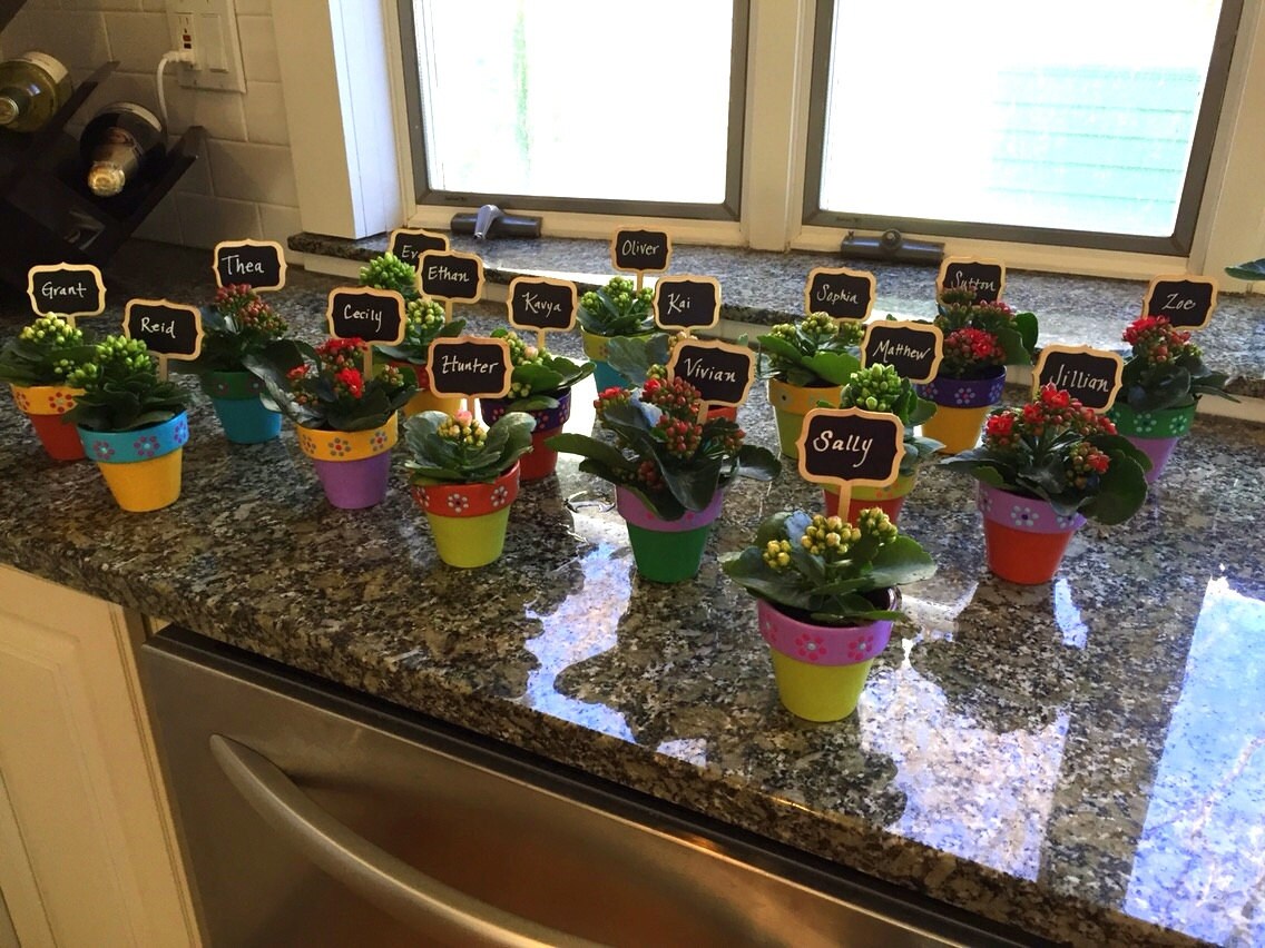 Small Flower Pots Bridal Shower Favors Baby Shower Favors