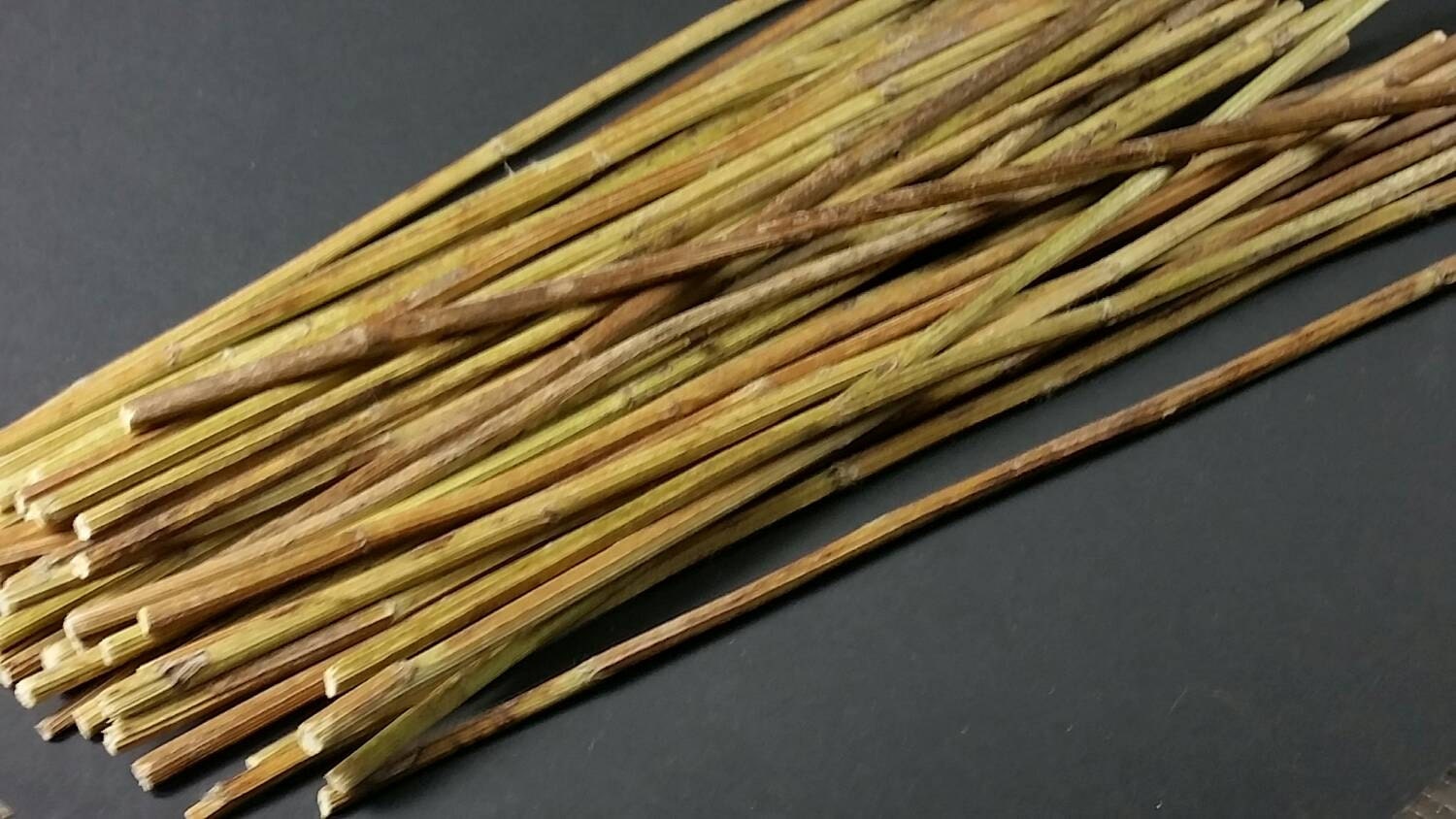 50 Yarrow Stalks for Traditional Chinese I Ching Divination