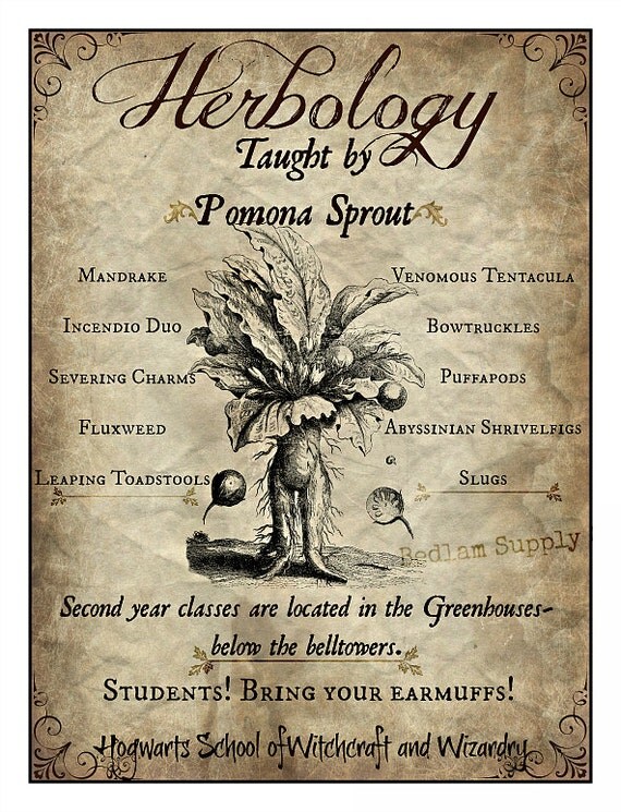 herbology print inspired by harry potter herbology print inspired by harry potter