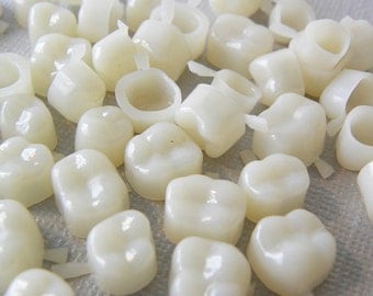 Molar teeth temporary crown