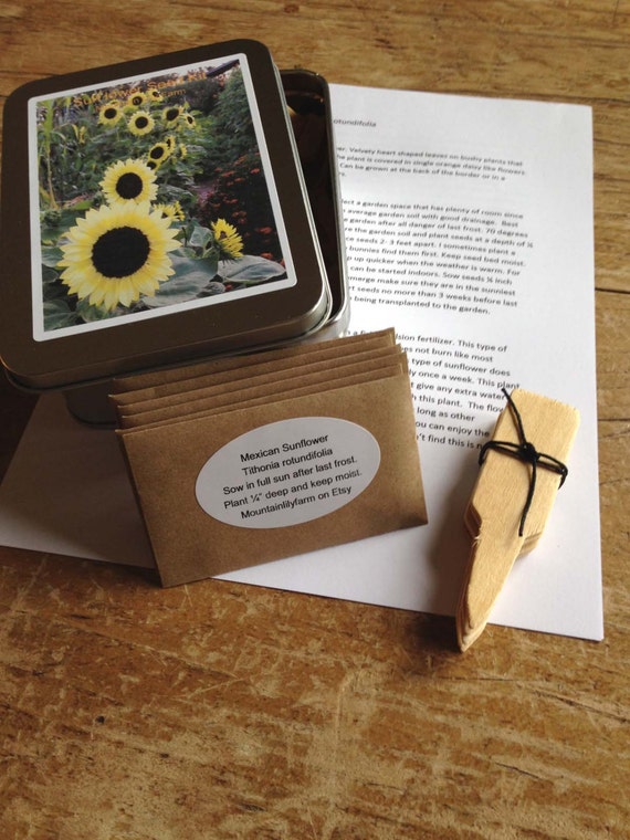 Sunflower Seed Kit Heirloom Sunflower Seeds Gift Box with Color