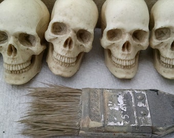 Pair of Catacomb Skulls, small realistic human skulls, anatomical study, Cabinet of Curiosities, Cast Shadows Studio, by Richard Chalifour