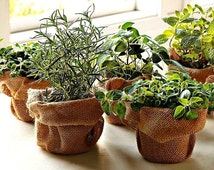 Unique indoor herb garden related items  Etsy