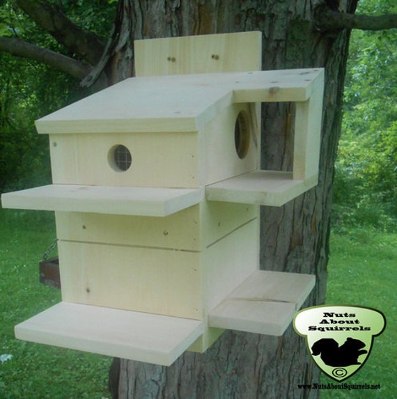 Squirrel Condo by NutsAboutSkwerls on Etsy