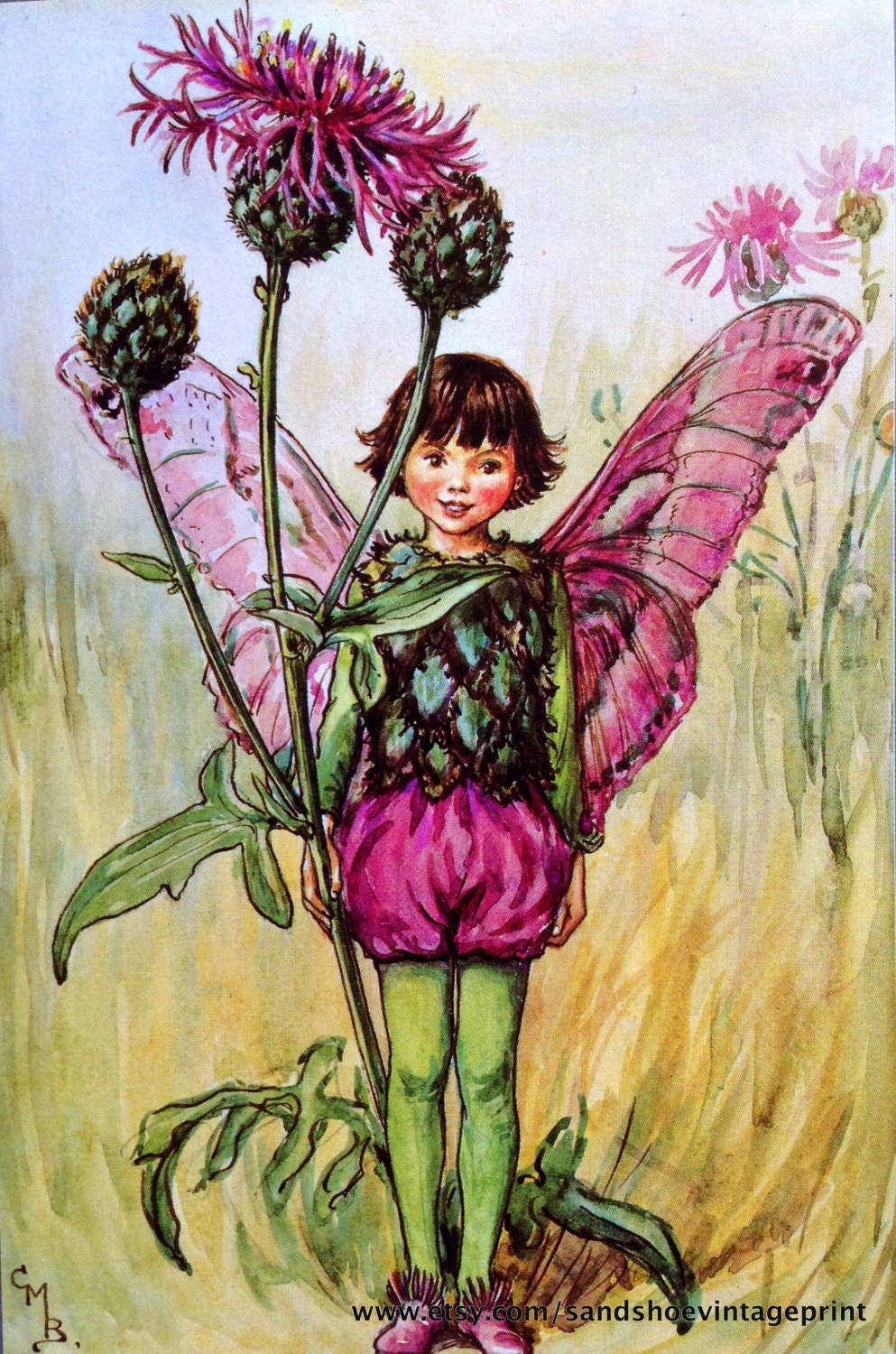 1930s The SCARLET PIMPERNEL Fairy and The Greater KNAPWEED Fairy Cicely ...