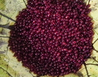 11/0 Toho Transparent Garnet Seed Beads - 1097 - 10 grams - Color 11-5D Garnet Red Toho Beads