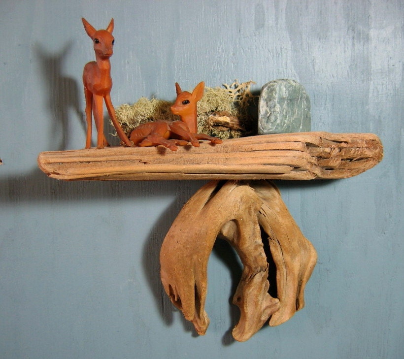 Small Natural Driftwood Shelf Sculpted by Nature 10 inches