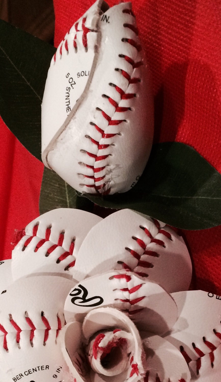 Baseball roses / 1closed rose bud long stem and by SherrysPetals