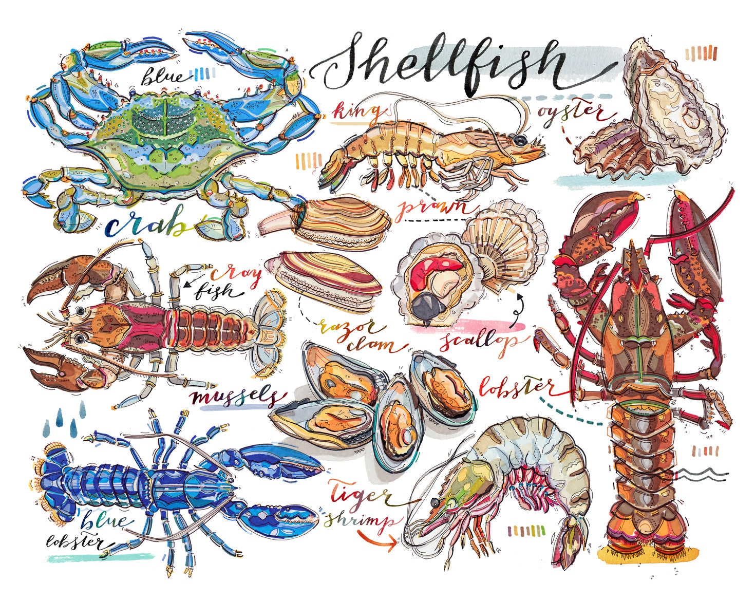 Shellfish print. Seafood illustration. Lobster. Crab. by LouPaper