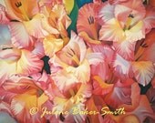 Gladiola Flower Fine Art Print - Garden Art