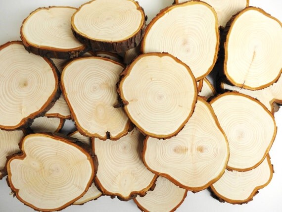 3 4 holz scheiben baum scheiben rinde holz scheiben