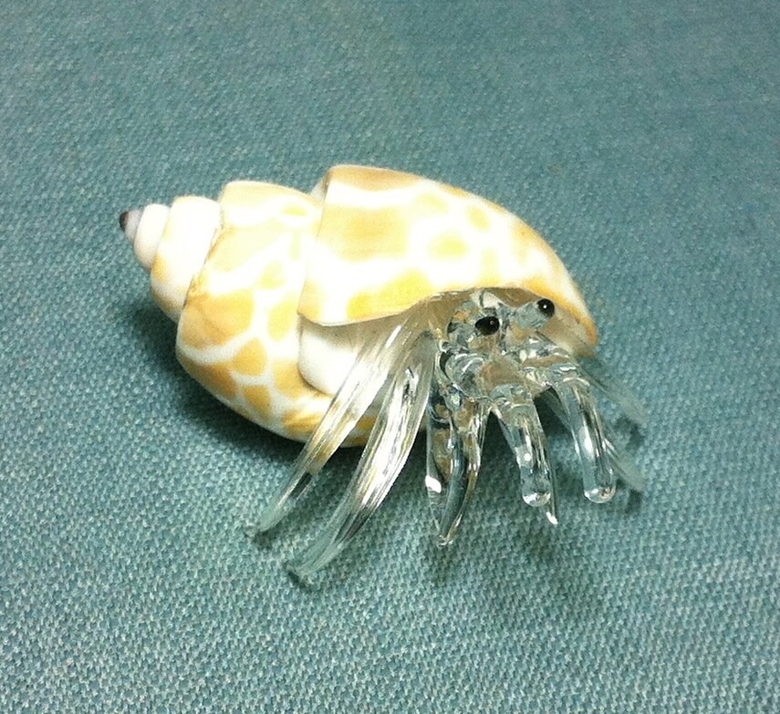 blown glass hermit crab