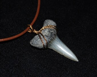 Large Rustic Fossilized Giant Mako Shark Tooth Pendant
