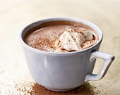 Gourmet HOT COCOA Mix Hot Chocolate Dairy free Vegan Homemade Drinking Chocolate 12 oz Bag by The Hollyhock Cottage