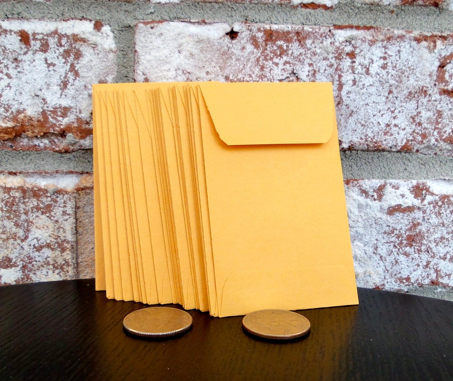 Kraft Coin Seed Envelopes 2 1/2 x 4 1/4 perfect