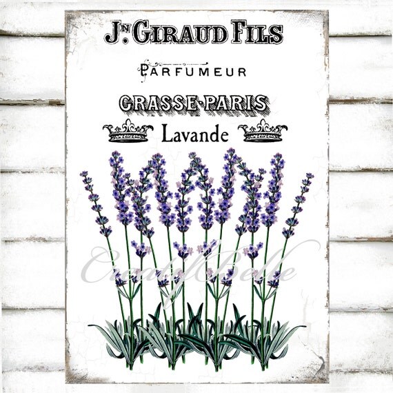 french lavender vintage perfume label large a4 by creatifbelle