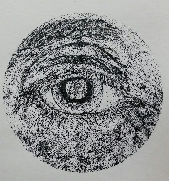 Cataract eye stipple detail digital print of original ink A5