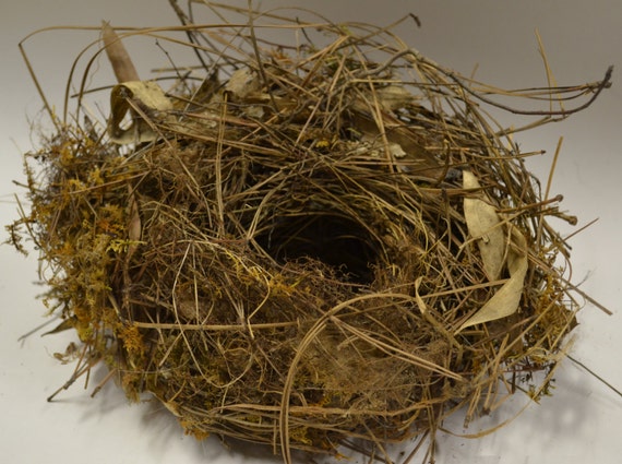 How To Make Bird Nest With Twigs