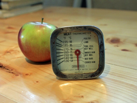 wash tool face Meat Thermometer Cooking Kitchen / Springfield Vintage