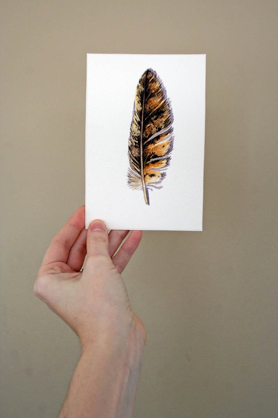 Owl Feather Watercolor Study Great Horned Owl feather by jodyvanB