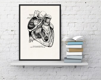 Wall art print Human Heart in black Science prints wall art Anatomy prints wall decor Gift, Love gift, giclee art SKA039WA4