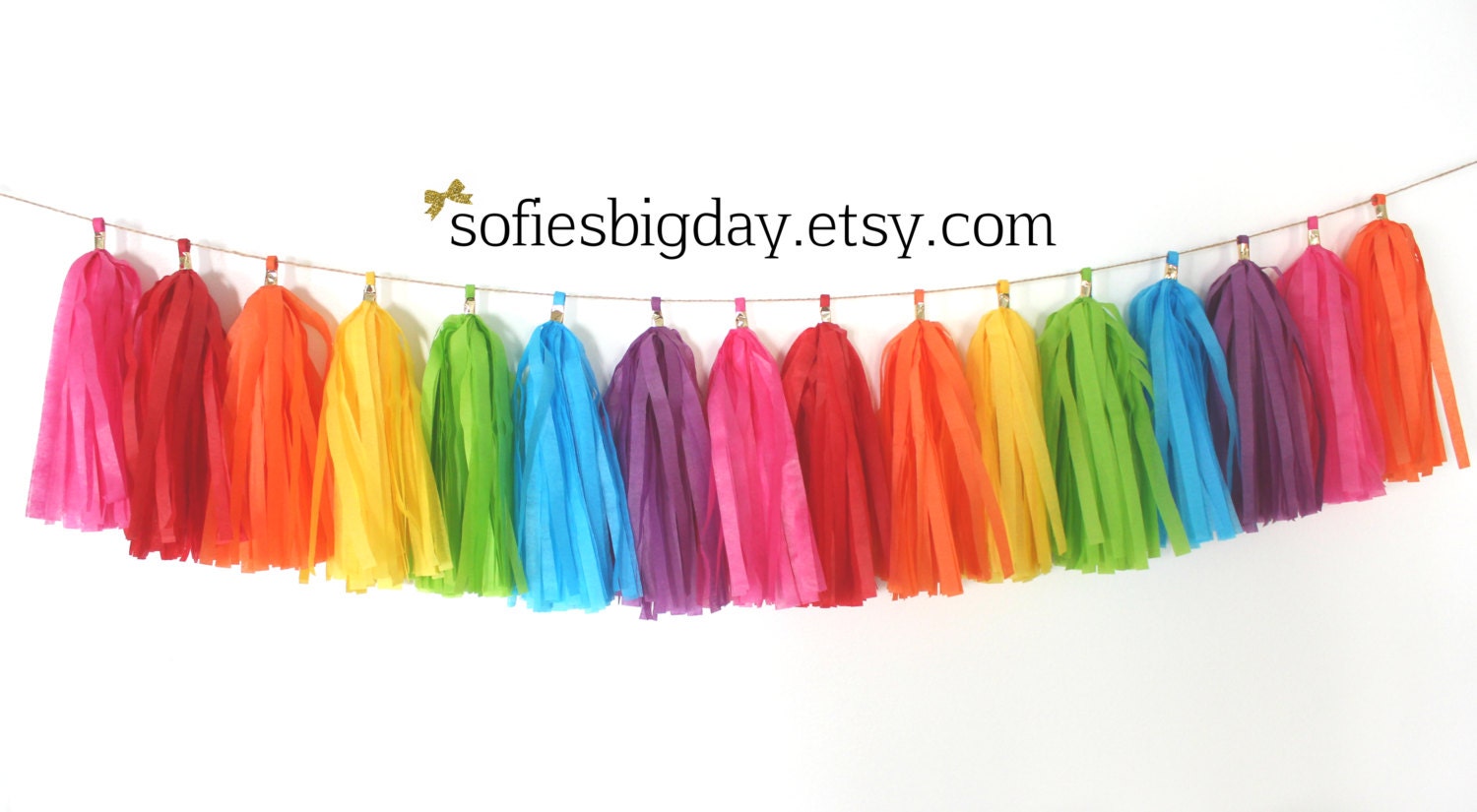 Rainbow Tassel Garland Rainbow Garland Tassel by SofiesBigDay