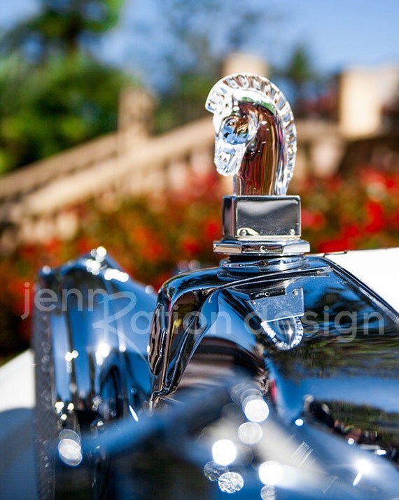 MG Hood Ornament Crystal Horse Head Classic Car Photography