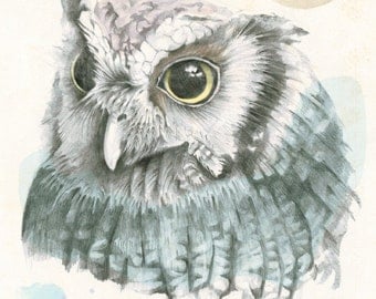 Items similar to Owl Rabbit Art Print - bunny birds owls moon ...
