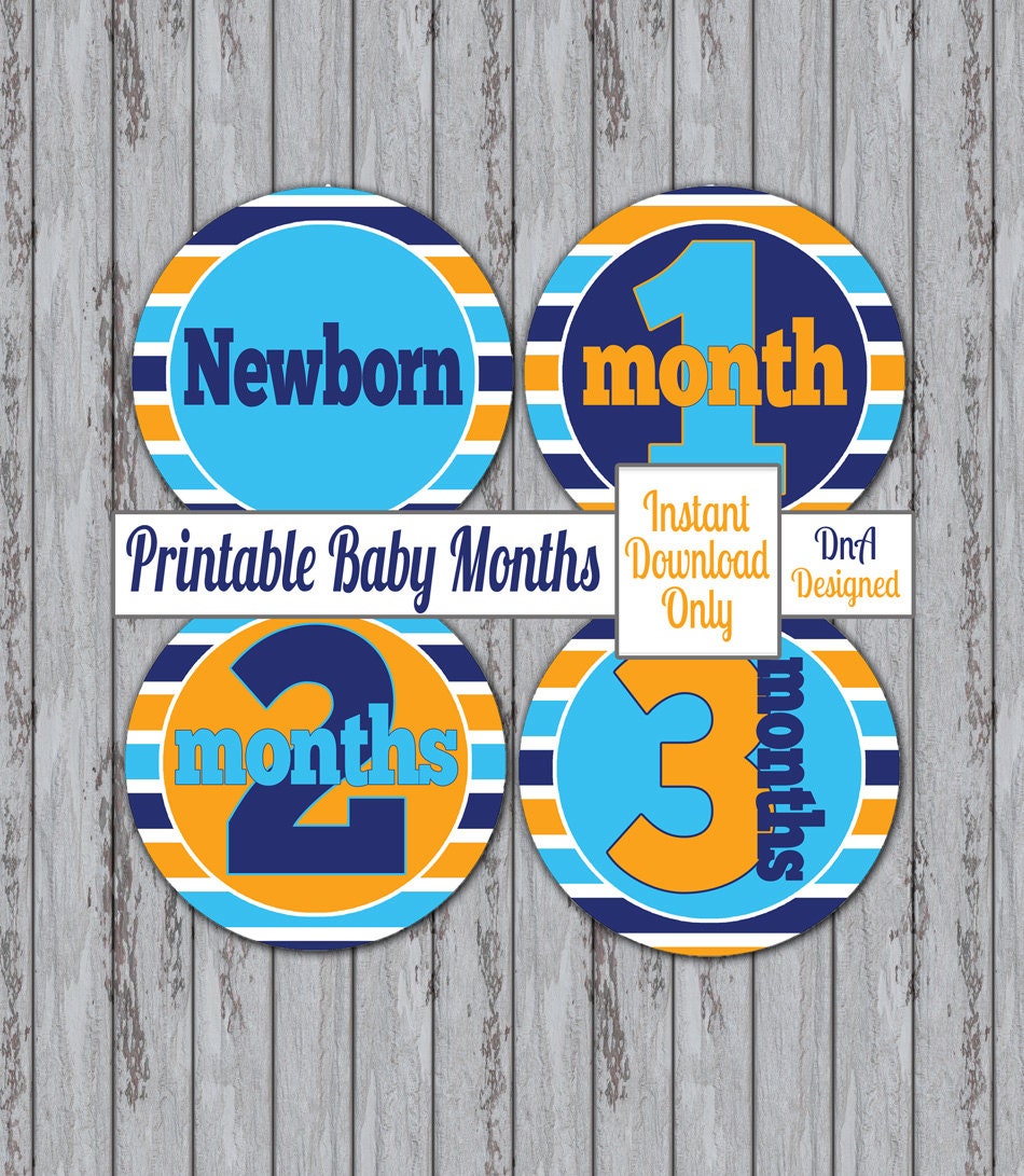 Instant Download Month Stickers Baby Printable by DnADesigned