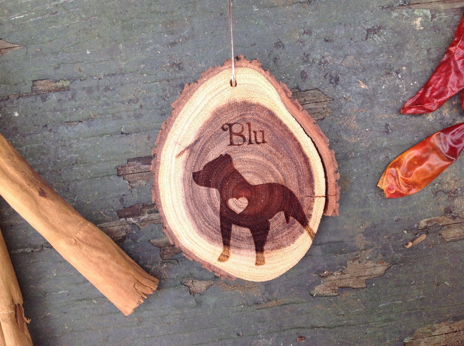 Unique 2.8" Locally Grown Wood Disc Ornament, Custom Made Pitbull with a Heart, Personalized, Engraved, Christmas Decoration, Handmade