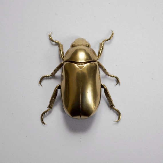 Gold Plated Scarab Beetle By TheButterflyBabe On Etsy   Il 570xN.736637251 D6za 