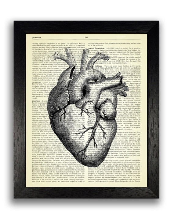 Black Heart Anatomy Art Print Cool Gothic Decal Anatomical