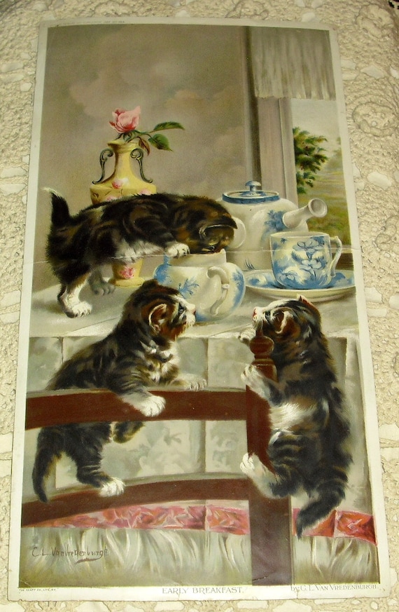 Victorian Cat Kittens 1/2 Yard Long 1894 Van Vredenburgh
