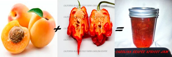 ghost pepper vs carolina reaper