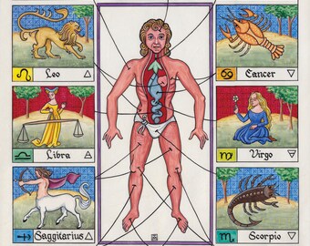 Astrological signs relating to the body Illumination