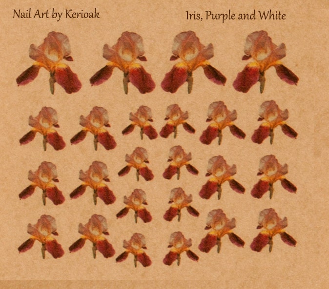 Iris Flower Nail Art Purple and yellow Iris Nail Art