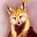 skye-yote