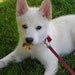 Amy