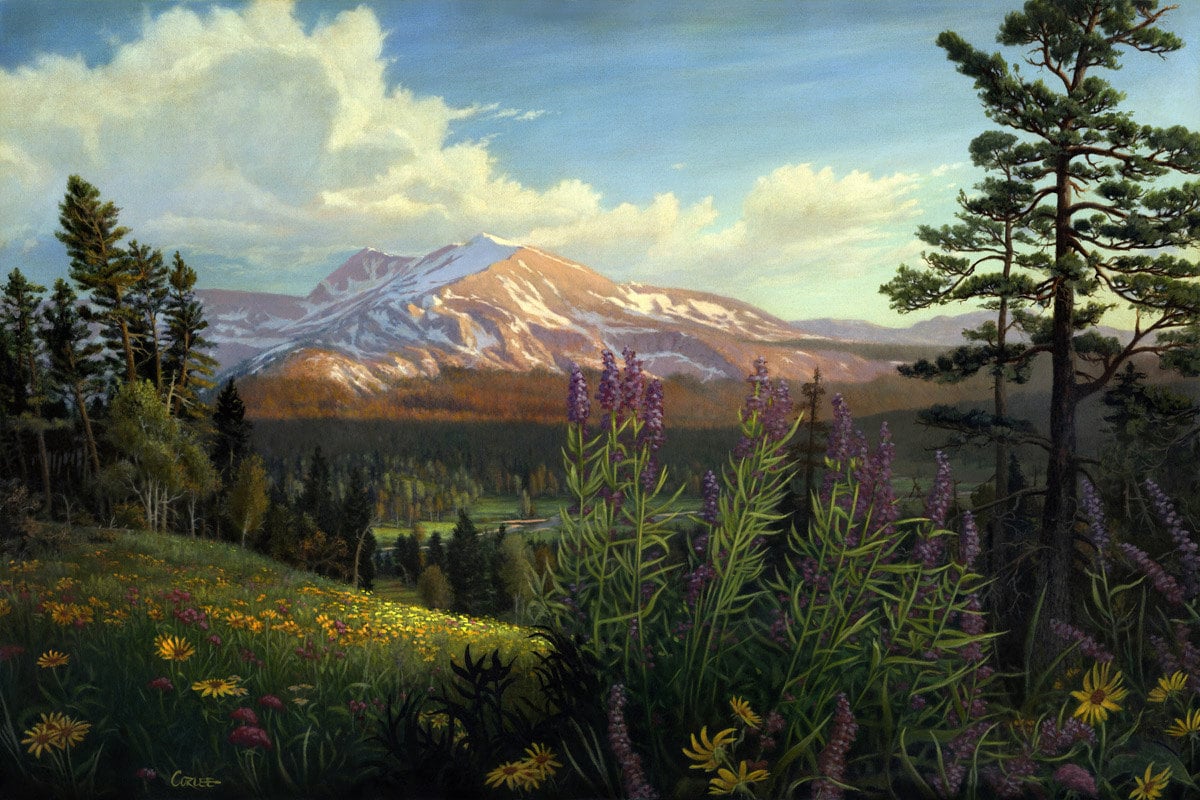 Original Oil Painting Rocky Mountain Meadow In Western Spring