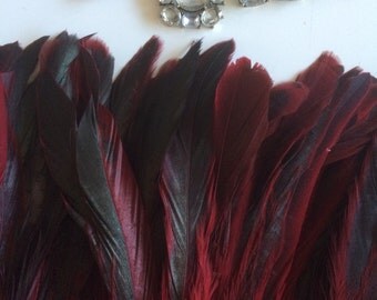 RUSTICA COQUE FEATHERS / Iridescent Black Red / 261