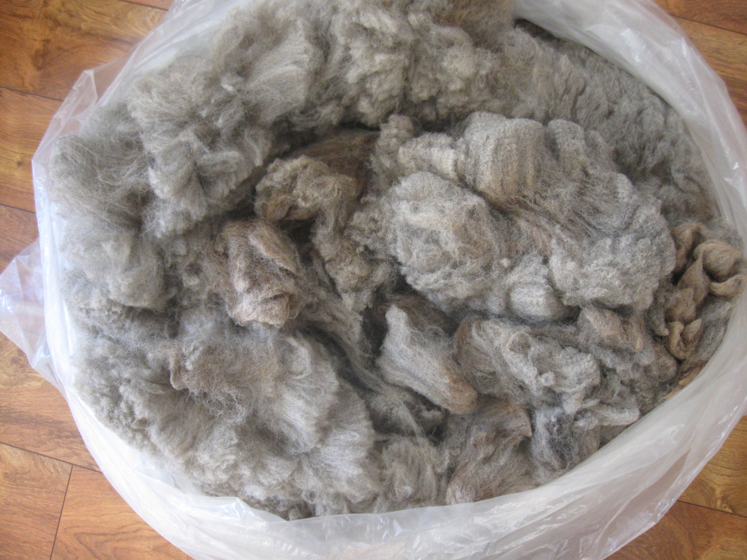 Raw SIlver gray Merino Fleece soft wool with tight crimp for