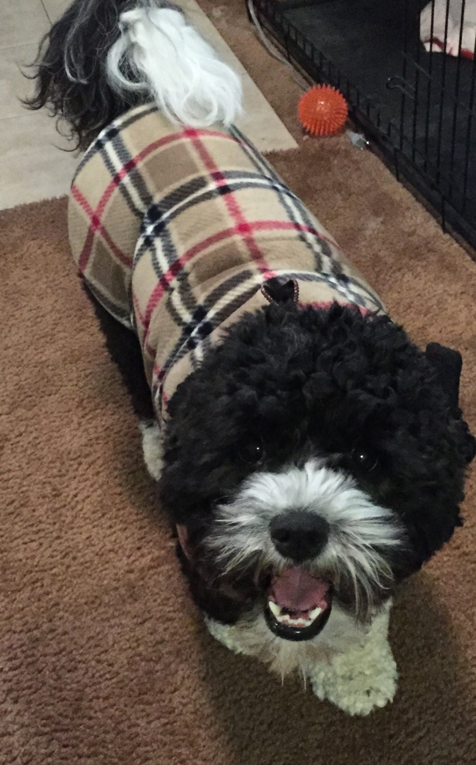 British Plaid Sherpa Lined Dog Coat Dog Jackets Dog Jacket
