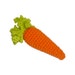 squeaky carrot dog toy