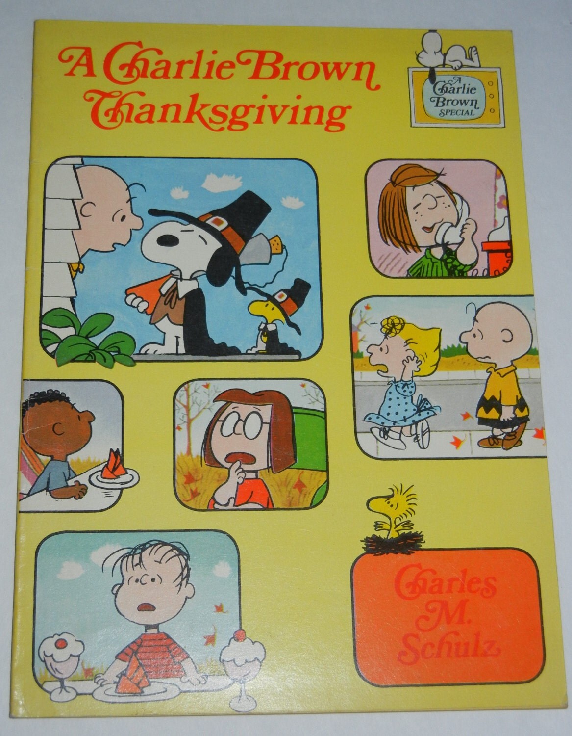 1974 A Charlie Brown Thanksgiving Comic Strip Book by RetroPickins
