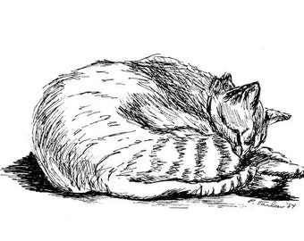 Tabby Cat Drawing, Cat Pen and Ink, Tabby Cat Print, Tabby Cat Pen & Ink Illustration, Tabby Cat Pen and Ink Drawing, Cat Art by P. Tarlow
