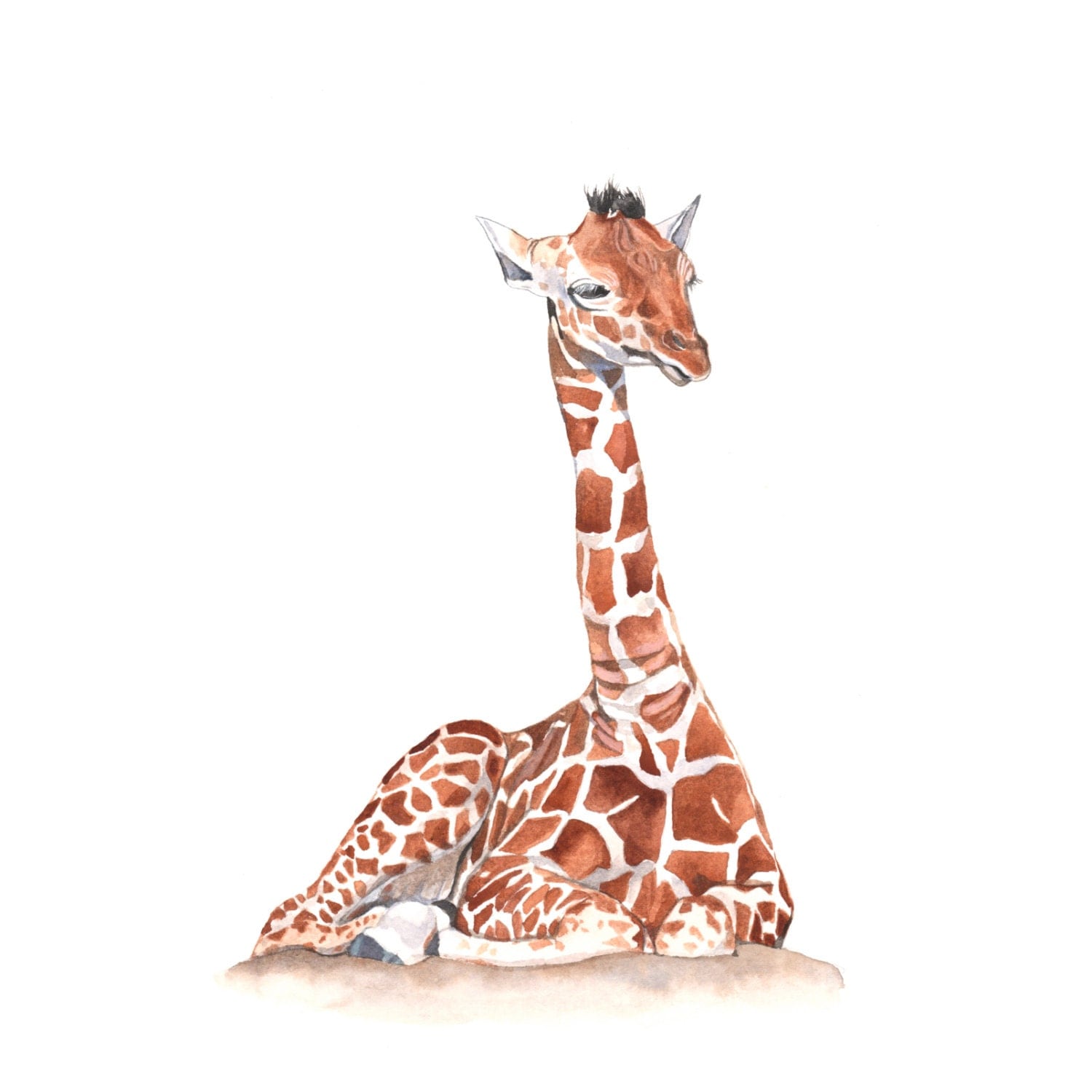 Giraffe Baby Watercolor Painting print of watercolor painting